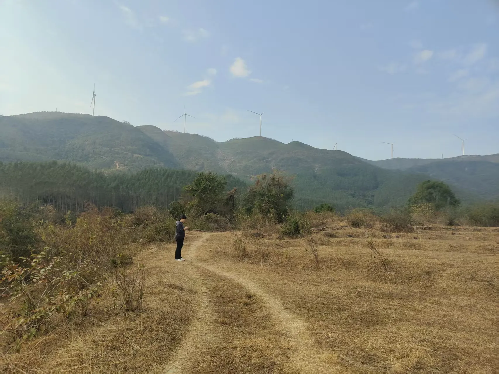 tea-picking experience5